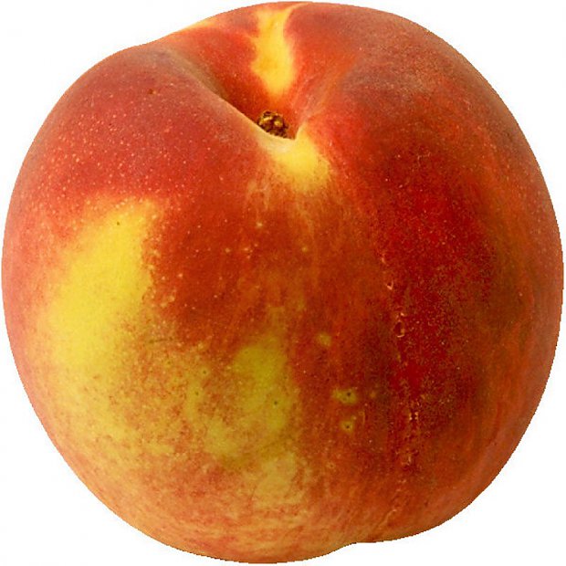 This is a peach, pretty product of nature... not exactly.
