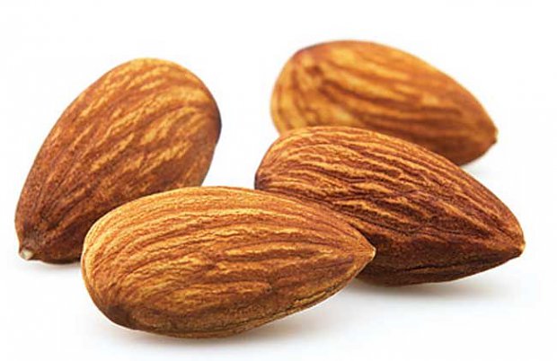 Almonds were poisonous, the had much more amygdalin that produced cyanide in the stomach.