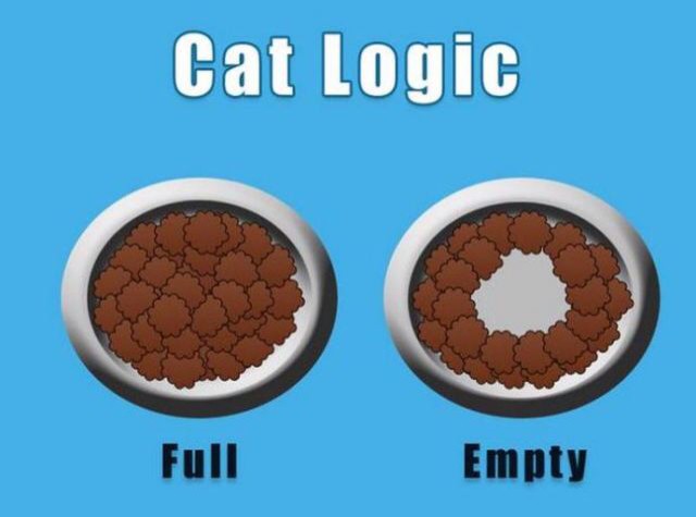 cat logics - Cat Logic Full Empty