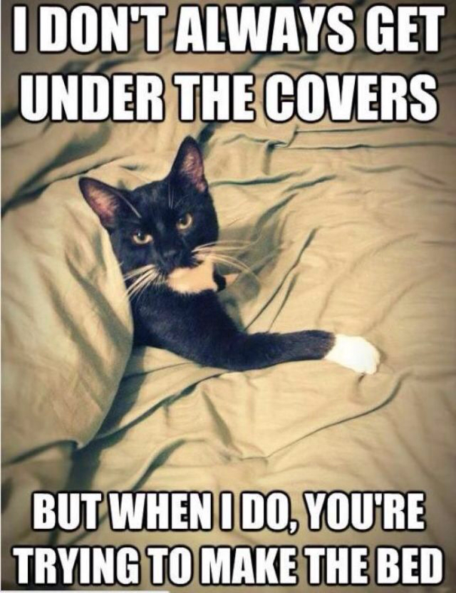 mijas - I Don'T Always Get Under The Covers But When I Do, You'Re Trying To Make The Bed