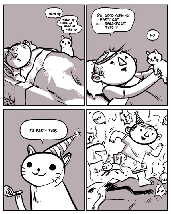 party cat comic - wake up wake up wake up wake up wake up Oh, Good Morning Party Cat! Is It Breakfast Time? It'S Party Time
