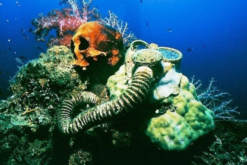 The Ghost Fleet:
In 1964 divers found remains of bombed people and vehicles from 1944 in the central Pacific.