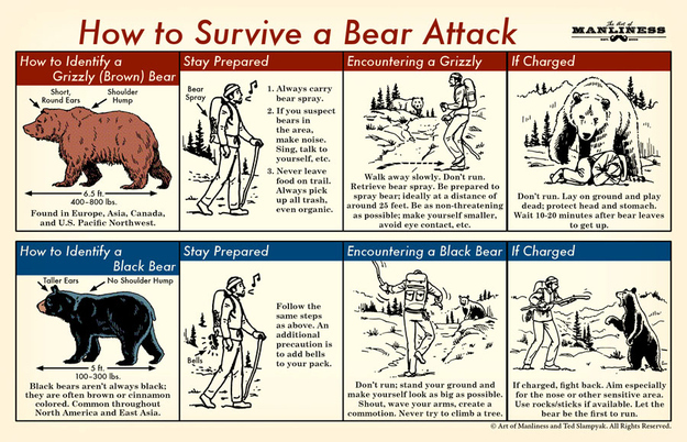 bear survival - How to Survive a Bear Attack Stay Prepared Encountering a Grizzly If Charged How to Identify a Grizzly Brown Bear Round Ears Hump Short Shoulder 1. Always carry bear spray. 2. If you suspect the area. make noise. yourself, etc. Ali 3. Neve