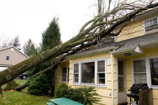 06 10 2014 had a big storm, and a lot of people went outside to "enjoy" the weather. 

But it turned gruesome when a lightning caused a tree to fall on a house. Unable to 

call for help a 10 year old used Facebook to inform about the situation.
