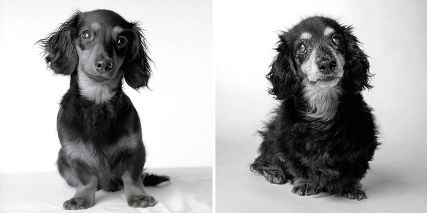 Lily: 8 Months, 15 Years.