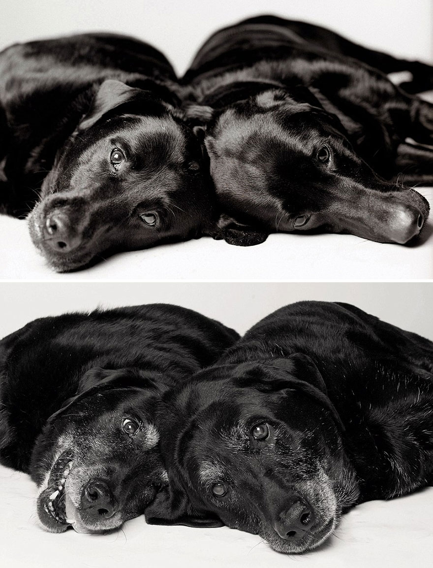 Maddie and Ellie: 7 and 6 Years, 14 and 13 Years.