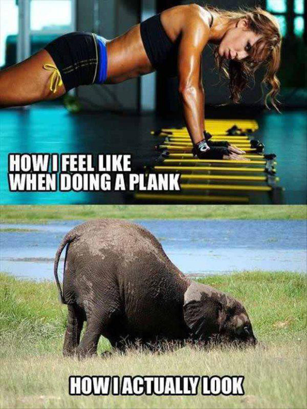 planks funny - How I Feel When Doing A Plank How I Actually Look