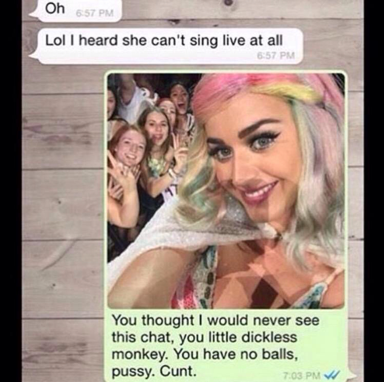 Katy Perry Rekts a Fan's Ex During Concert
