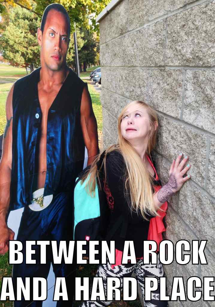 rock puns - Between A Rock And A Hard Place