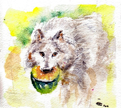 Painting of the wolf?