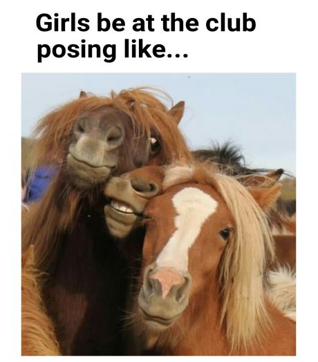 tweet - drunk girls horses - Girls be at the club posing ...
