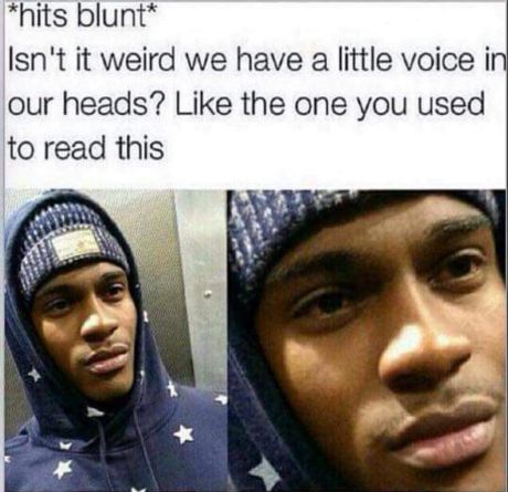 tweet - funny twitter memes - hits blunt Isn't it weird we have a little voice in our heads? the one you used to read this
