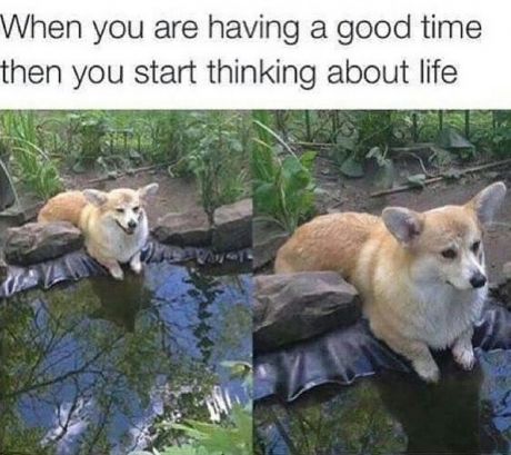 tweet - existential crisis meme - When you are having a good time then you start thinking about life