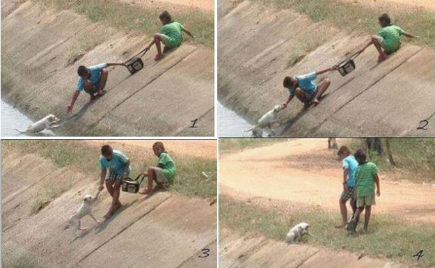 14 Pictures That Will Restore Your Faith In Humanity