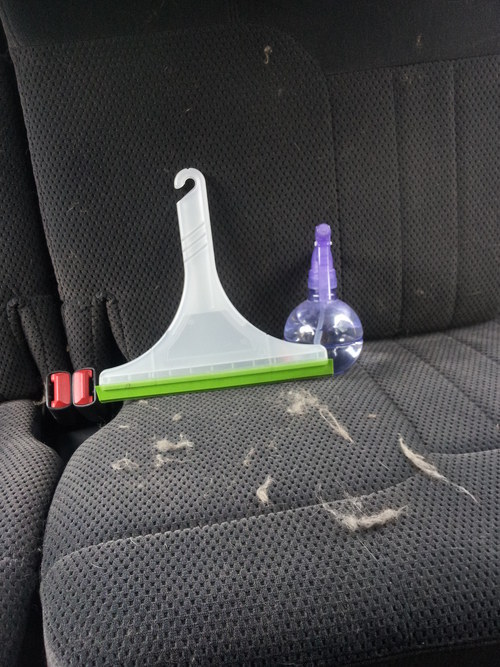 Use a squeegee to remove hair from your seats