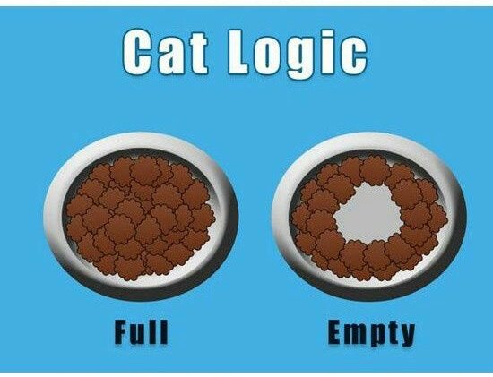 Prime Examples Of Cat Logic