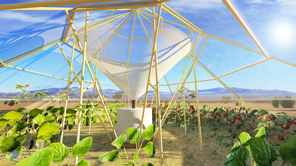 American Couple Invents A Greenhouse That Will Help People In Africa
