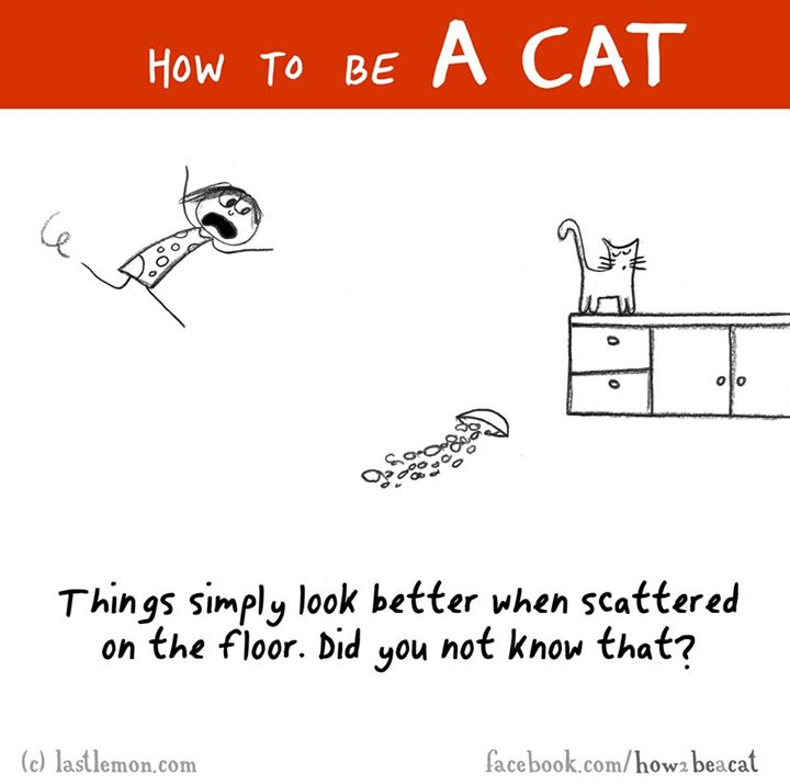 cartoon - How To Be A Cat Things simply look better when scattered on the floor. Did you not know that? c lastlemon.com facebook.comhow2 beacat