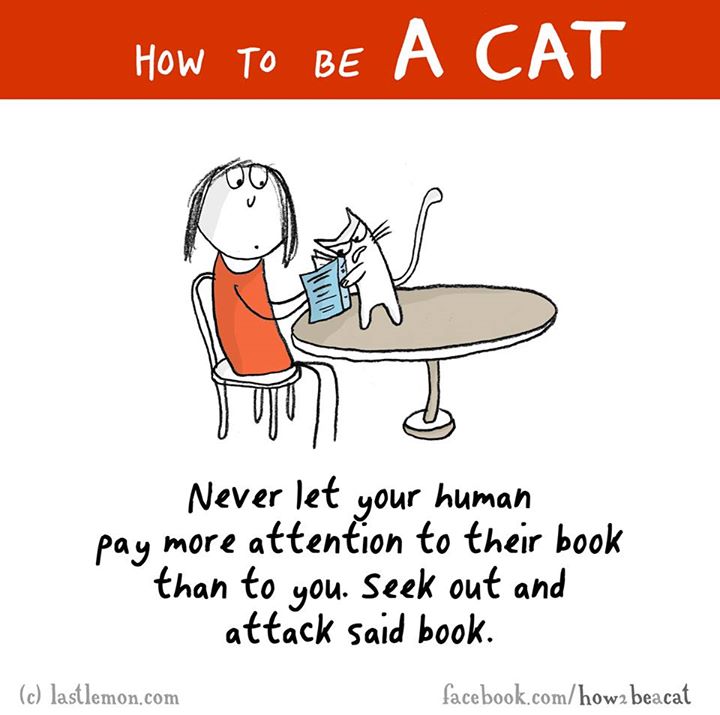 cartoon - How To Be A Cat Never let your human pay more attention to their book than to you. Seek out and attack said book. c lastlemon.com facebook.comhowa beacat