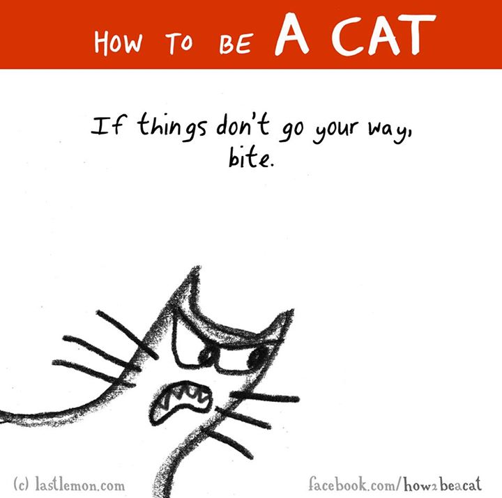 Cat - How To Be A Cat If things don't go your way, bite. Po c lastlemon.com facebook.comhowa beacat