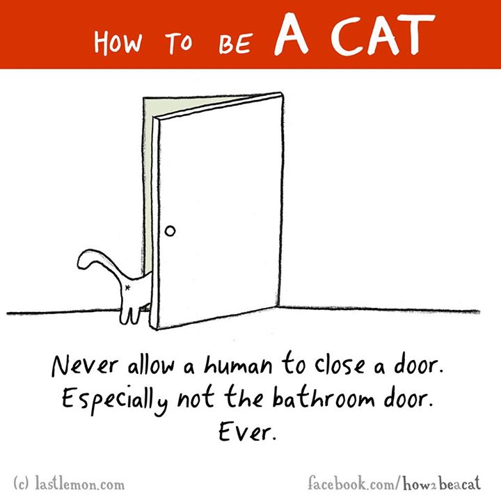 diagram - How To Be wu Never allow a human to close a door. Especially not the bathroom door. Ever. c lastlemon.com facebook.comhow2 beacat
