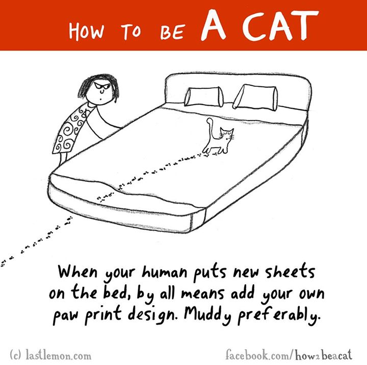 cartoon - How To Be A Cat When your human puts new sheets on the bed, by all means add your own paw print design. Muddy preferably. c lastlemon.com facebook.comhow2 beacat