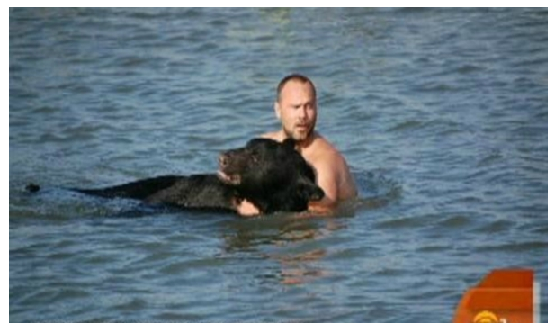 A bystander to the event, Adam Warwick, realized what the end result would be of all this and with adrenaline spurring him on he raced into the water after the bear.