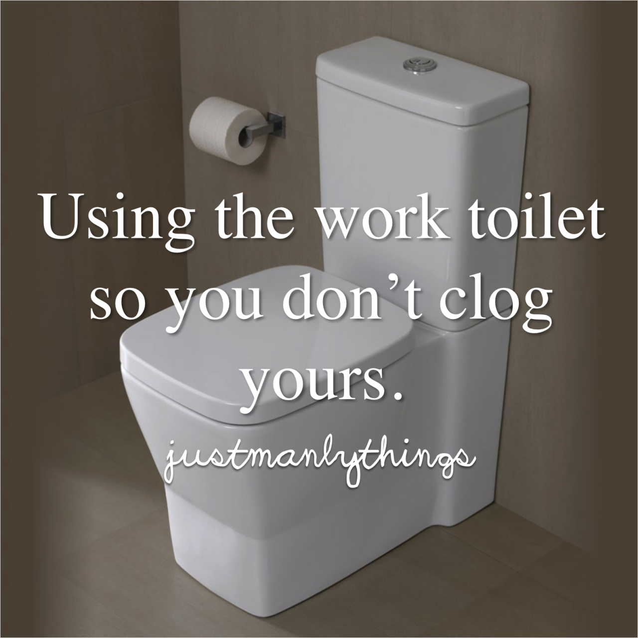 toilet seat - Using the work toilet so you don't clog yours. justmanly things