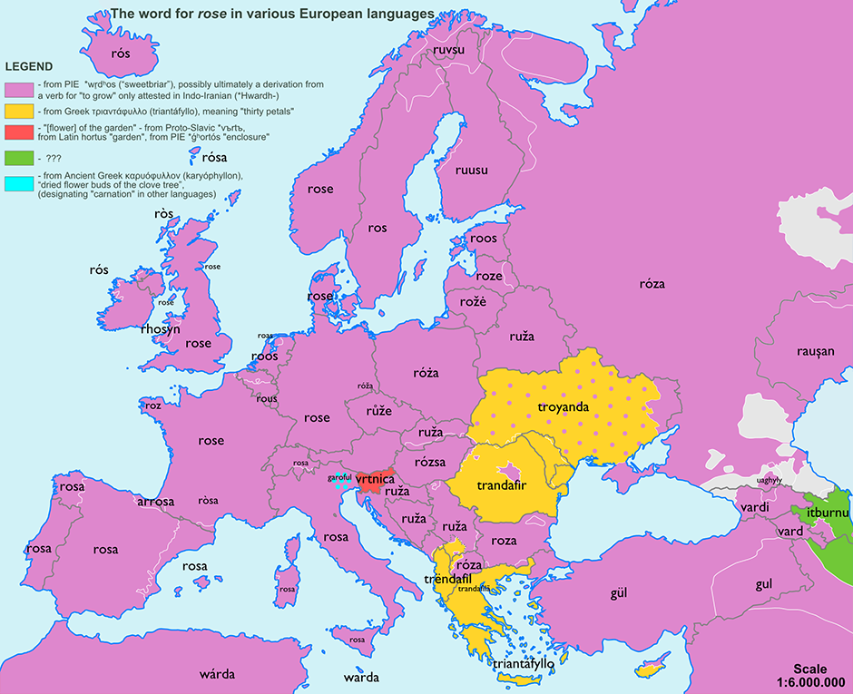 Various European Names For Common Things