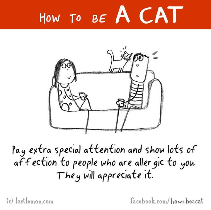 cartoon - How To Be A Cat pay extra special attention and show lots of affection to people who are allergic to you. They will appreciate it. c lastlemon.com facebook.comhowa beacat