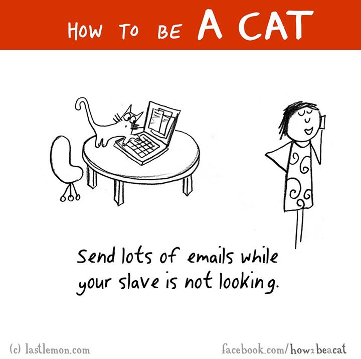 act like a cat - How To Be A Cat Send lots of emails while your slave is not looking. c lastlemon.com facebook.comhowa beacat