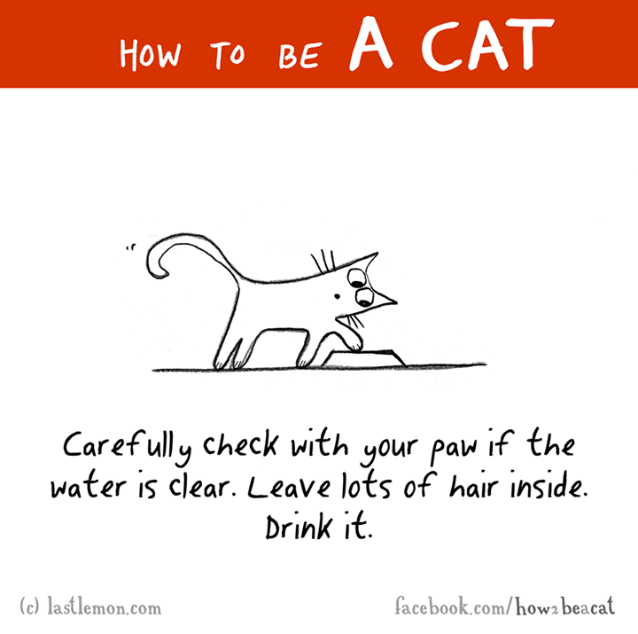line art - How To Be Carefully check with your paw if the water is clear. Leave lots of hair inside. Drink it. c lastlemon.com facebook.comhow2 beacat