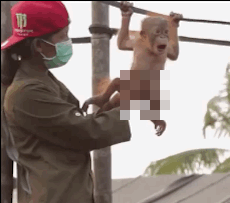17 Funny Gifs In Unnecessary Censorship