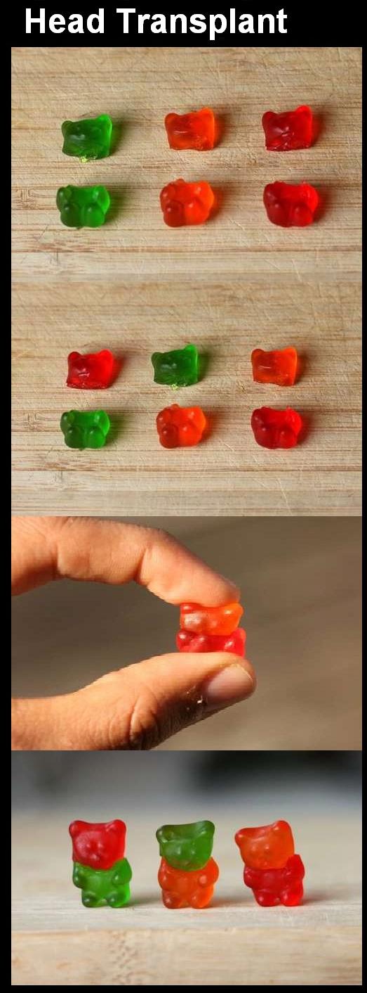 Man Performs WTF Medical Experiments On... Gummy Bears