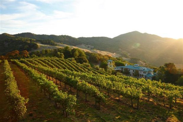 There is a 24 acre vineyard with Cabernet Sauvignon, Merlot and Cabernet Franc type grapes.