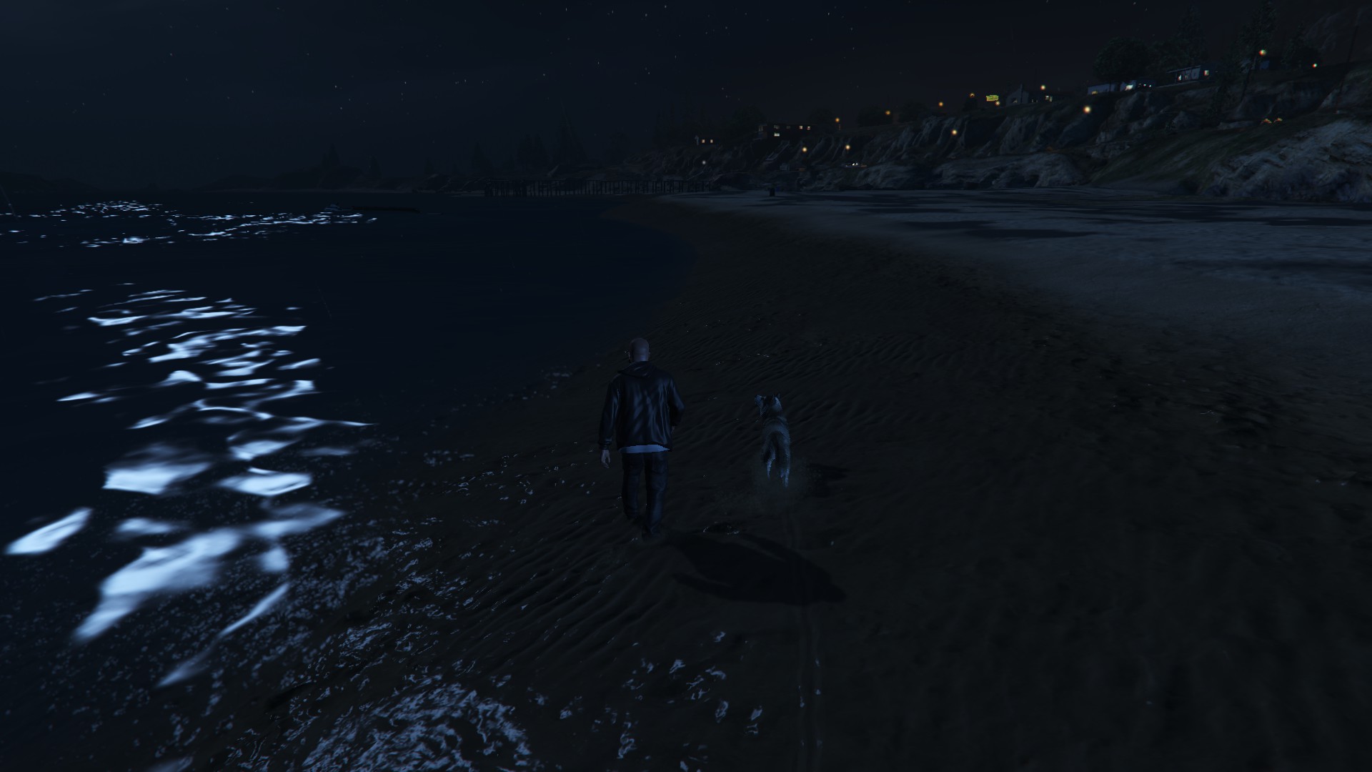 Guy Follows A Dog In GTA V And You Won't Believe What Happened To Them