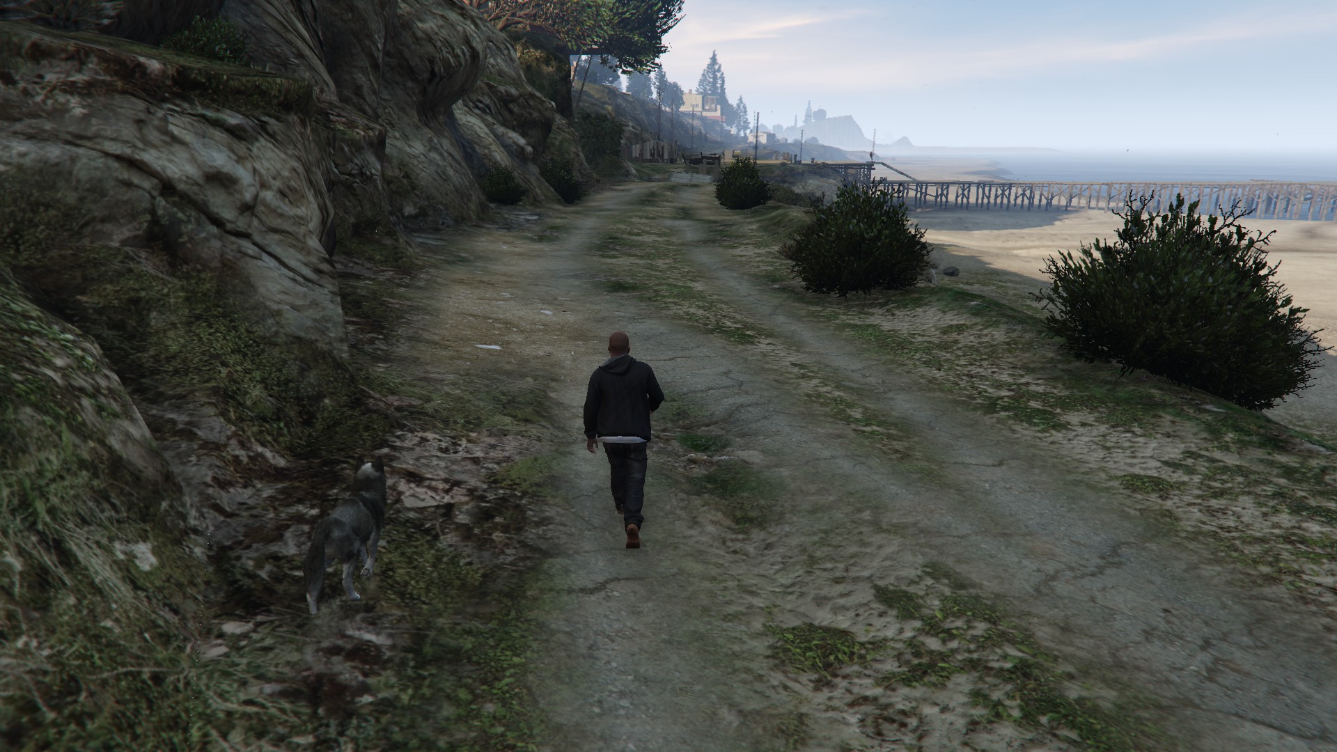 Guy Follows A Dog In GTA V And You Won't Believe What Happened To Them