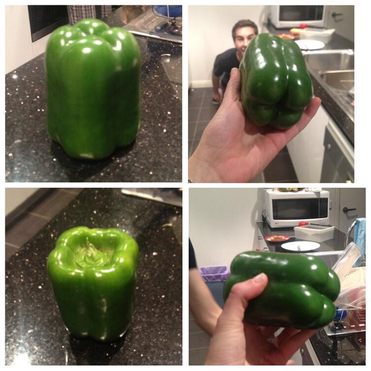 perfect green bell pepper