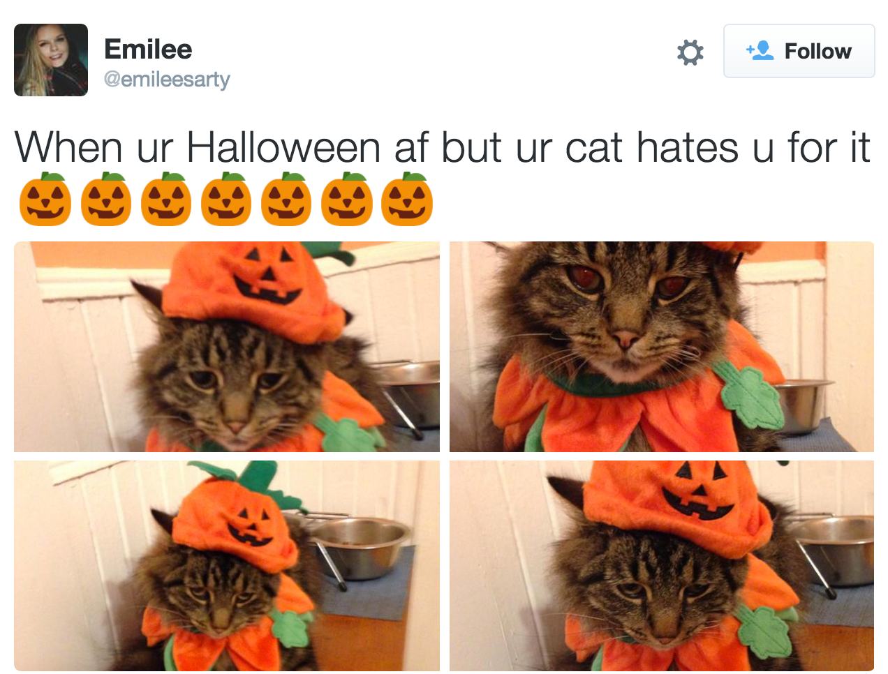 17 Pictures For A Purrrfect Sunday