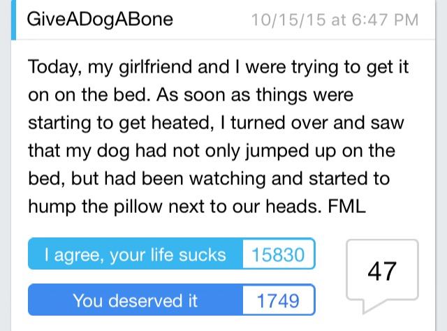 35 Of The Best FML Pictures