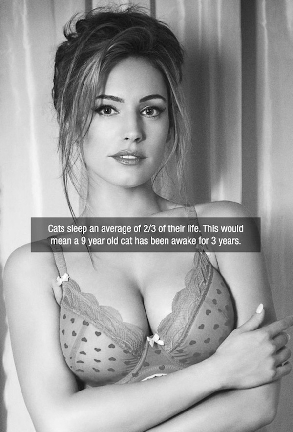 kelly brook new look - Cats sleep an average of 23 of their life. This would mean a 9 year old cat has been awake for 3 years.