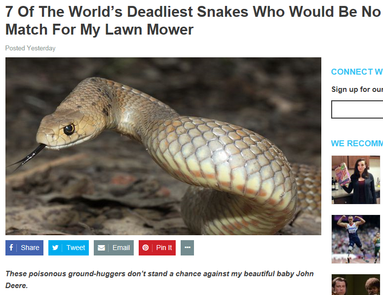 7 Of The World's Deadliest Snakes Who Would Be No Match For My Lawn Mower Posted Yesterday Connect W Sign up for our We Recomm f y Tweet Email Pin It These poisonous groundhuggers don't stand a chance against my beautiful baby John Deere.