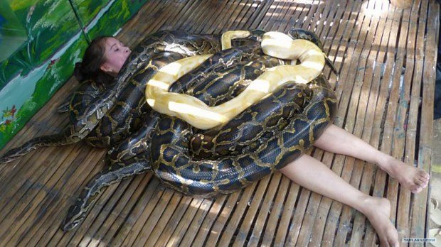 Snake massage is a real thing. "Experts" say that movement of the snakes tune to your heart and regulate the whole organism, and also work like viagra on men.