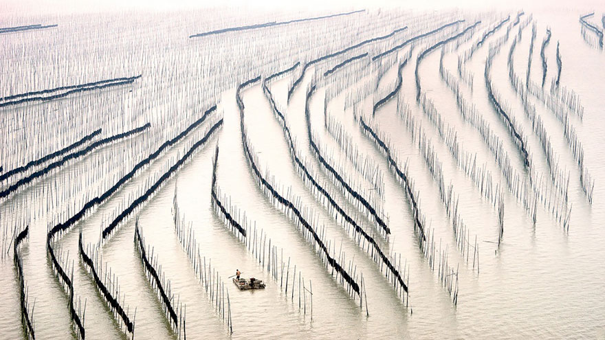 19 More Stunning Images From China