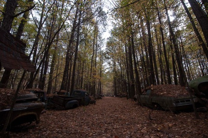 Presenting The Old Car City