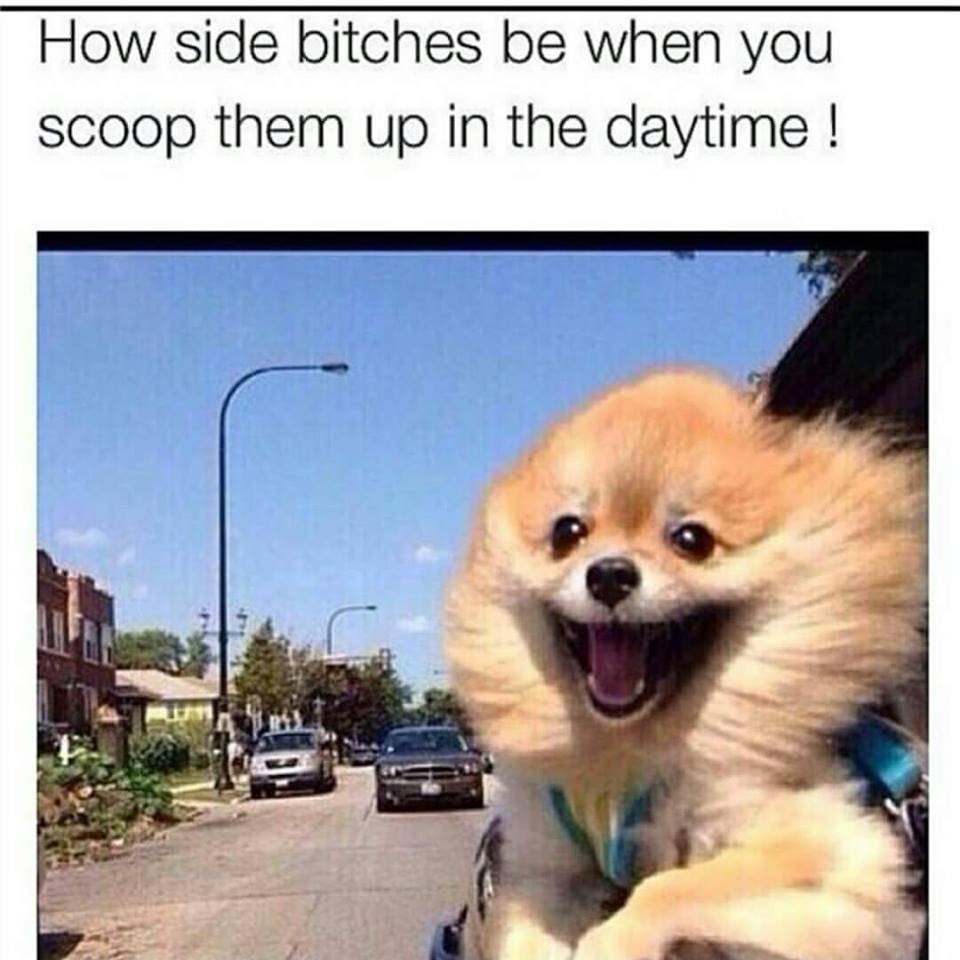 send me on my way meme - How side bitches be when you scoop them up in the daytime !