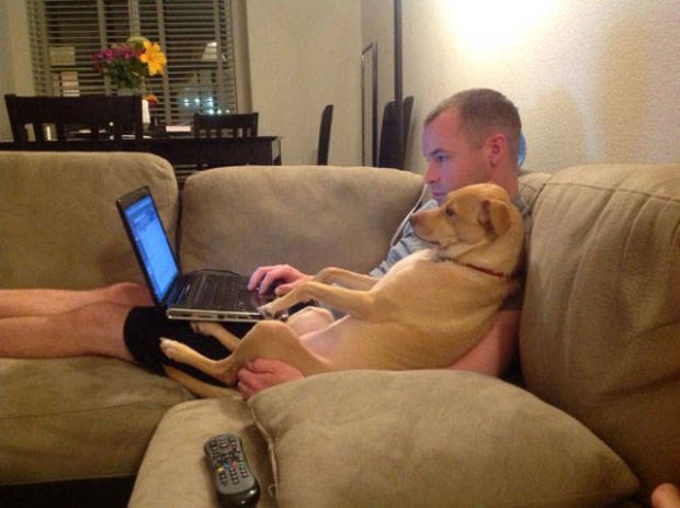 20 Pictures Proving Dog Is Man's Best Friend