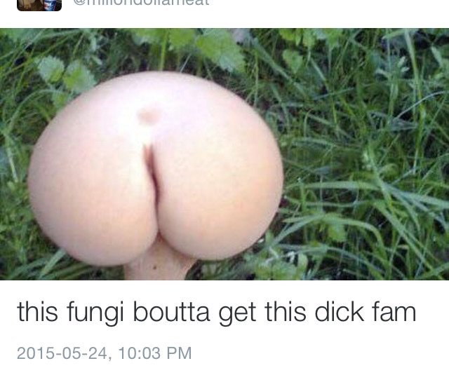 photo caption - OTTUNUllallcal this fungi boutta get this dick fam ,