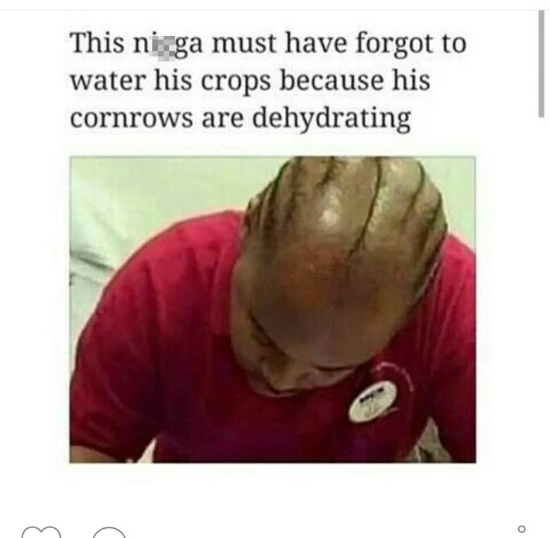 cornrows jokes - This ni ga must have forgot to water his crops because his cornrows are dehydrating
