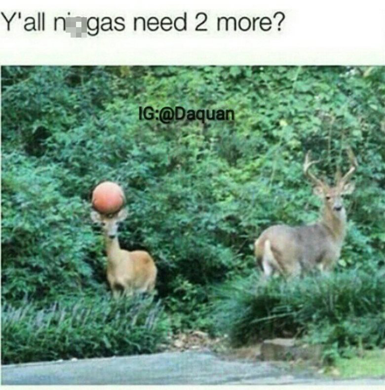 deer basketball - Y'all ningas need 2 more? Ig